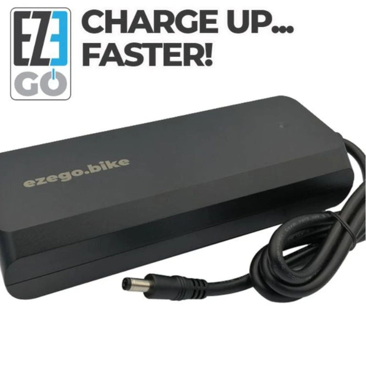 EZEGO fast charger