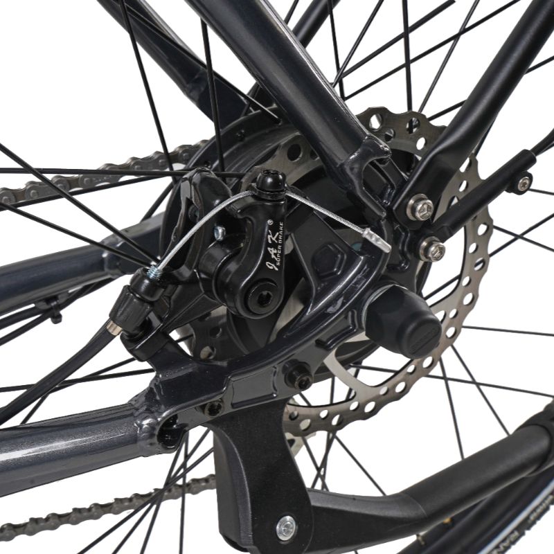 Dawes_Scenic_Low_Step_e-bike rear brake disk on a white background