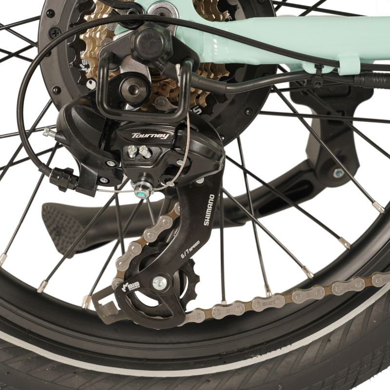 E-GOStepDerailleur in a white background.