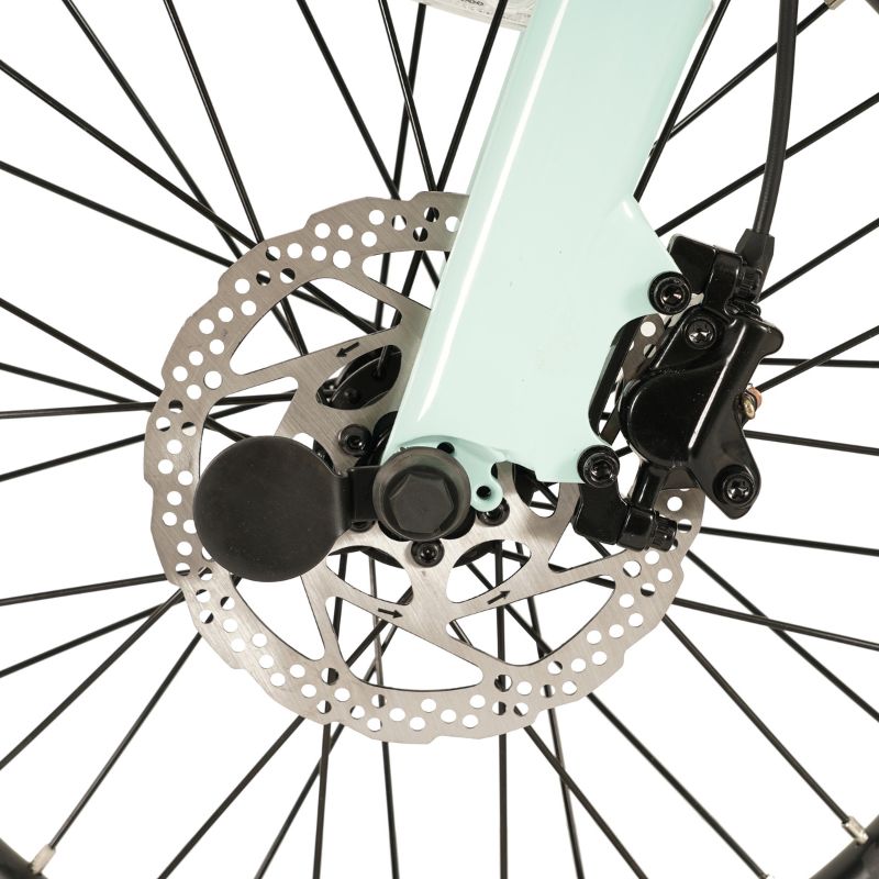 E-GOStepFrontDiskBrake in a white background.
