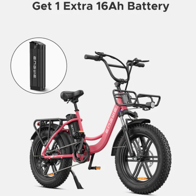 ENGWE L20 Step Through Fat Tyre Electric Bike 250W