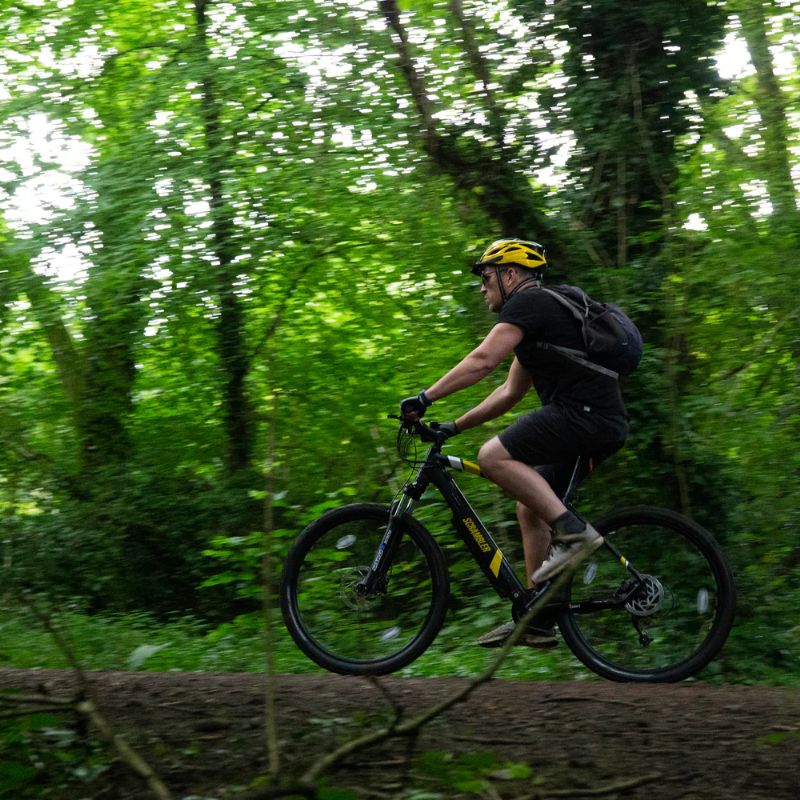Mark2Scrambler_Woods1