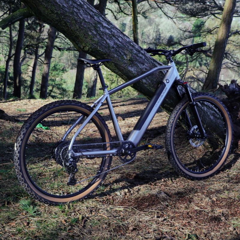 Claud Butler Ridge 2.0 lifestyle leaning against a tree in a forest setting