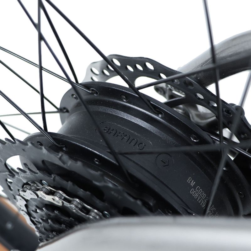 Claud Butler Ridge 2.0 rear hub motor Close-up