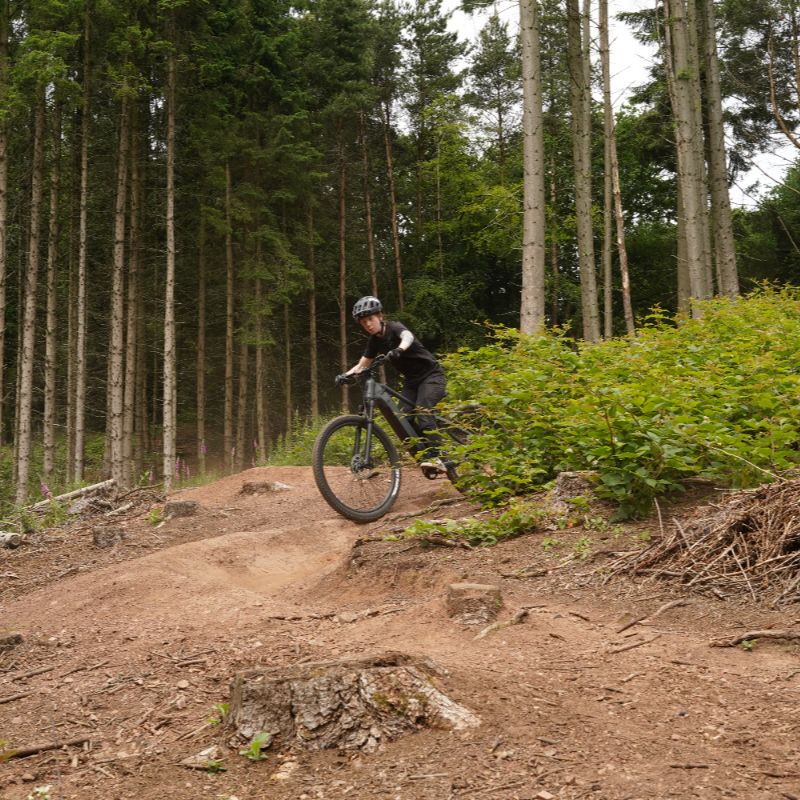 Claud_Butler_Wrath_1.0_lifestyle Person riding on a trail in a forest