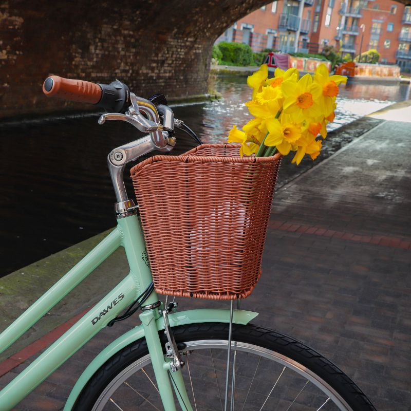 Dawes Elegance lifestyle daffodils in a brown wicker basket parked under a bridge