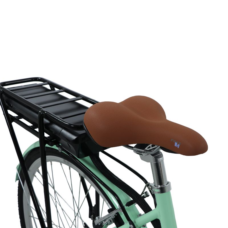 Dawes Elegance saddle Selle Royal Freeway and black rack on a white background