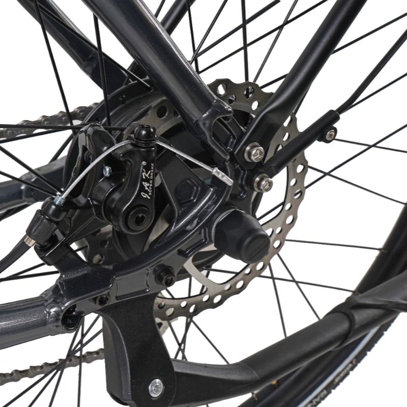 Dawes Scenic Crossbar ebike rear brake disk Close-up on a white background