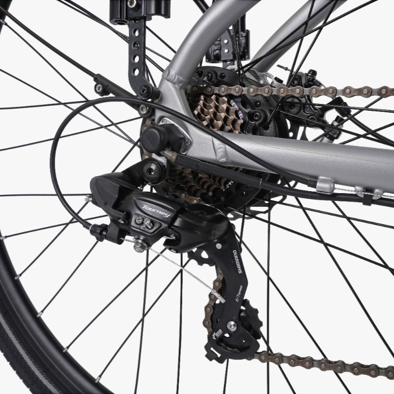Falcon Horizon Low Step e-bike rear derailleur and cassette Close-up on a white background