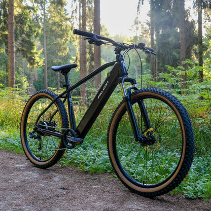 Falcon_Turbine_eMTB on a forest path with trees in the background