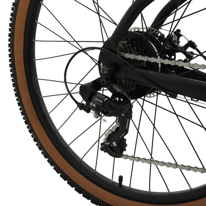 Falcon_Turbine_eMTB_rear derailleur and cassette Close-up on a white background
