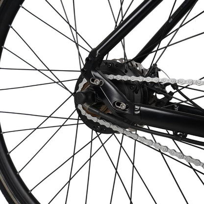 Falcon Zone Hybrid e-bike rear cassette Close-up on a white background