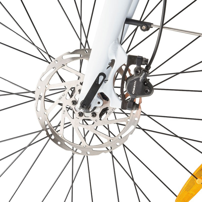 Hygge Losso Close-up disc brake system on a white background