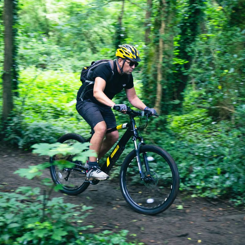 Mark2Scrambler_Woods