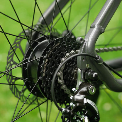 Roxform Gravion crossroad eMTB Shimano cassette Close-up against a blurred green background