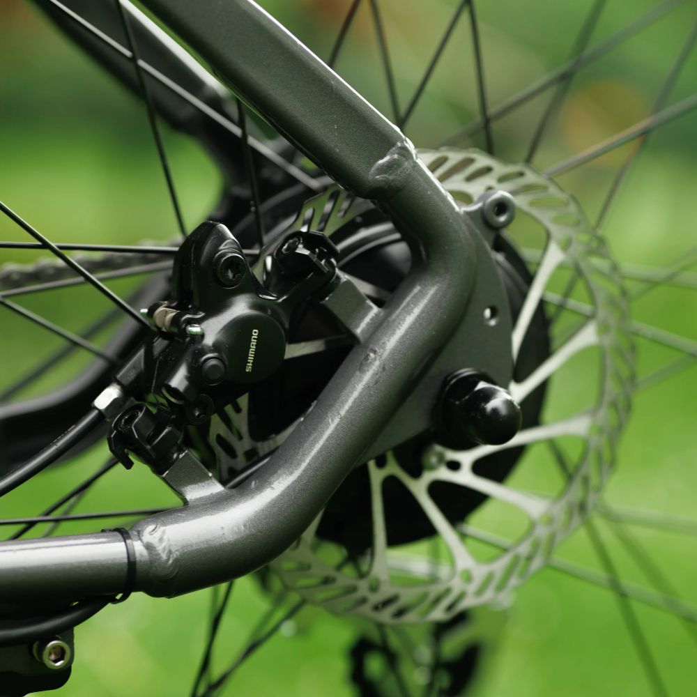 Roxform Gravion crossroad eMTB Shimano gears