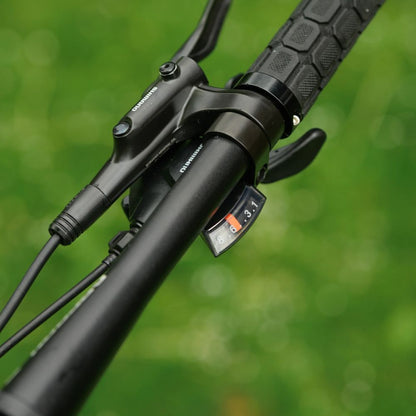Roxform Gravion crossroad eMTB gears shifter Close-up with a blurred green background