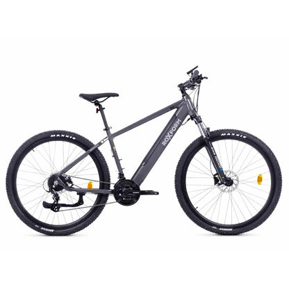 Roxform Gravion crossroad eMTB grey side view