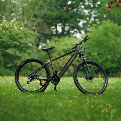 Roxform Gravion crossroad eMTB grey side view on a grassy field with greenery in the background