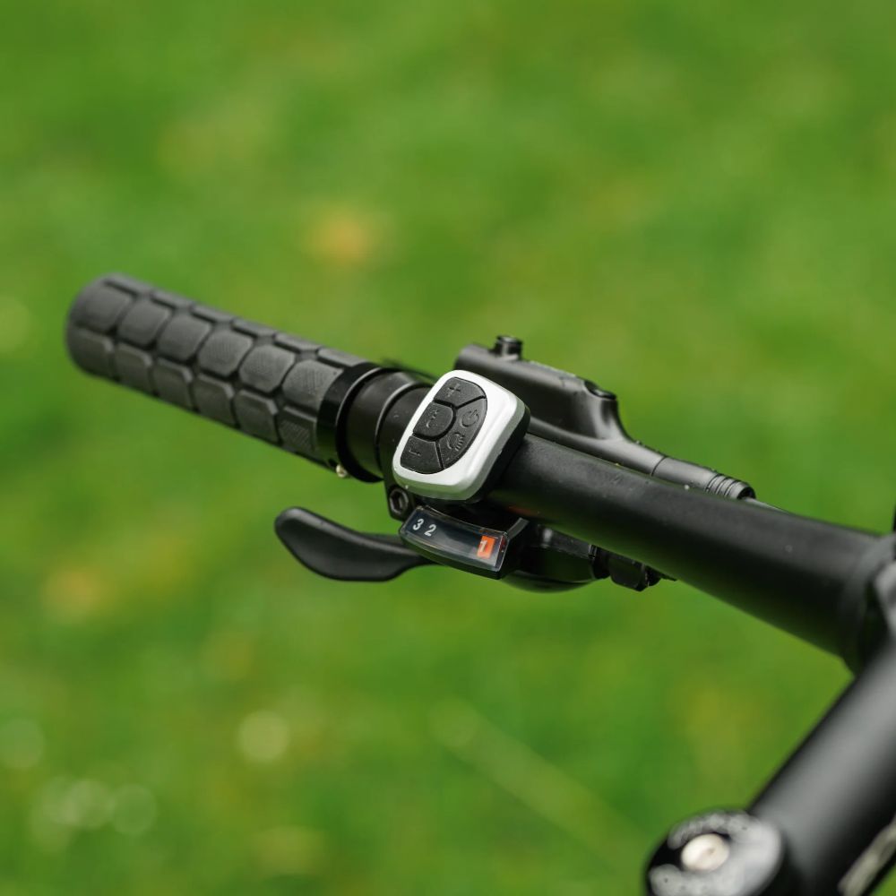Roxform Gravion crossroad eMTB handlebar controls Close-up against a blurred green background