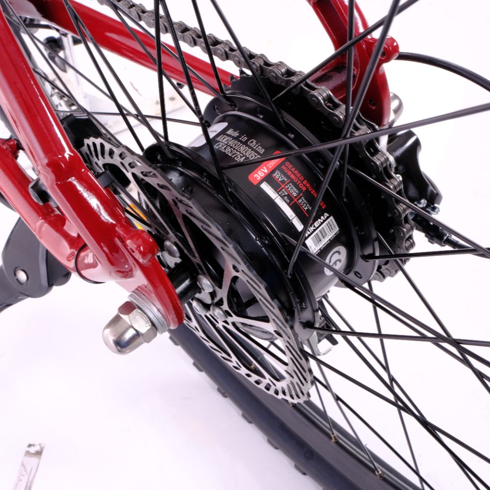 Roxform Gravion crossroad eMTB hub motor Close-up on a white background