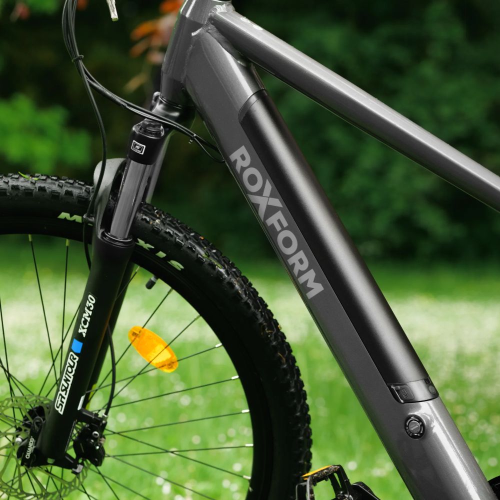 Roxform Gravion crossroad eMTB integrated battery on a blurred green background