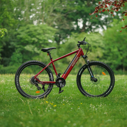 Roxform Gravion crossroad eMTB red side view grassy field with trees in the background