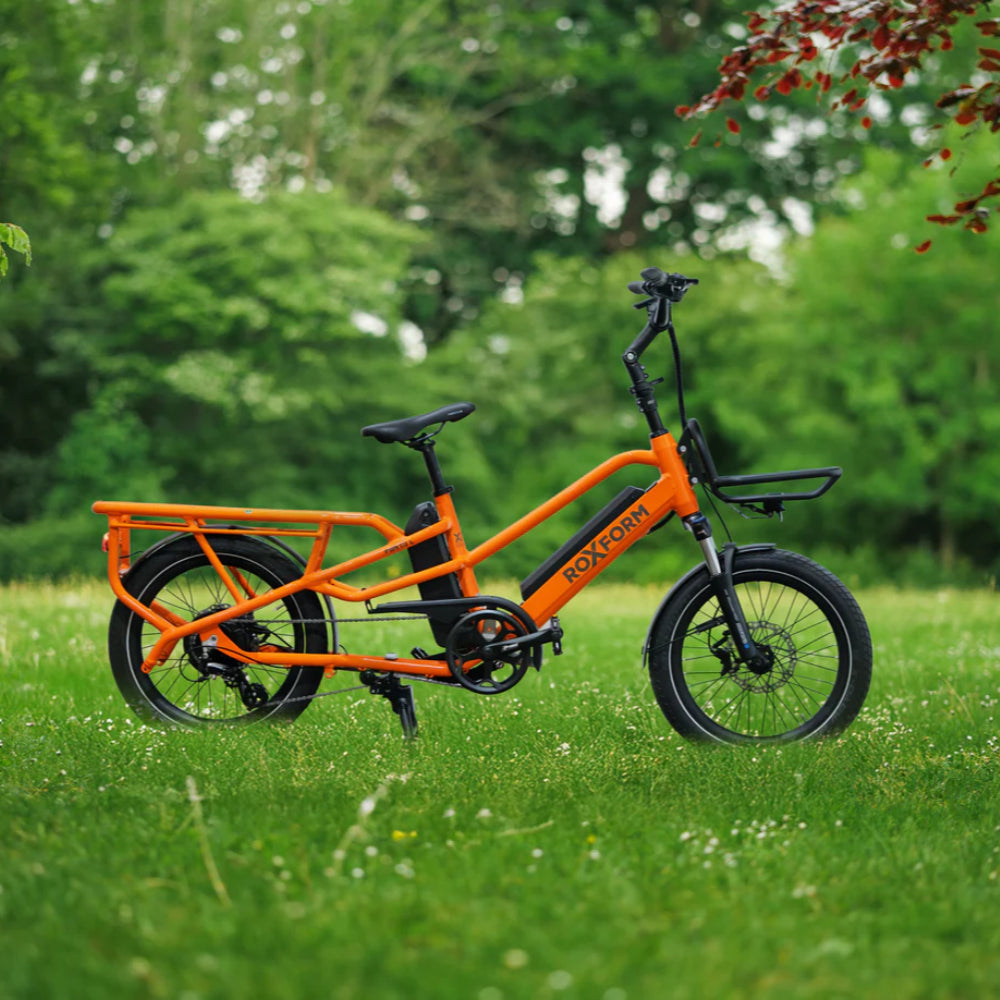 Roxform Porto L orange side view on a grassy field