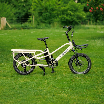 Roxform Porto S cream on a grassy field