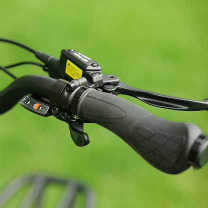 Roxform Porto_S_gear_shifter Close-up with a blurred green background