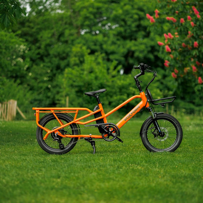 Roxform Porto S orange on grass with greenery in the background