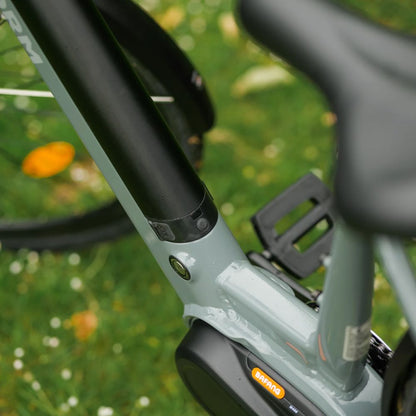 Roxform_Stride_L_e-bike battery lock Close-up with a blurred green background