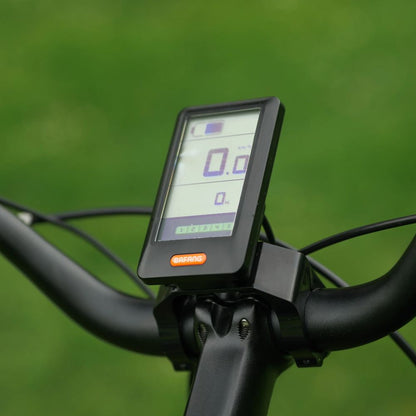 Roxform Stride L e-bike handlebar with digital display against a green background