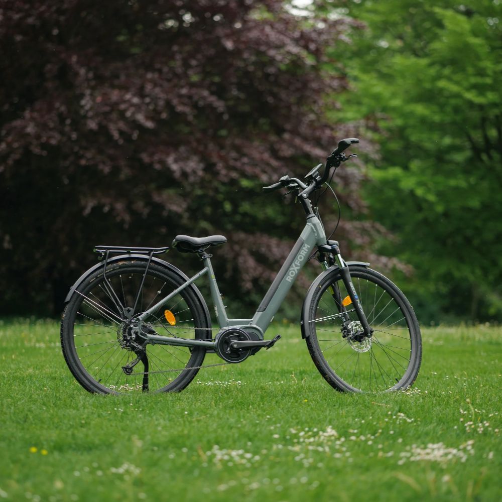 Roxform Stride L e-bike grey on a grassy area with trees in the background