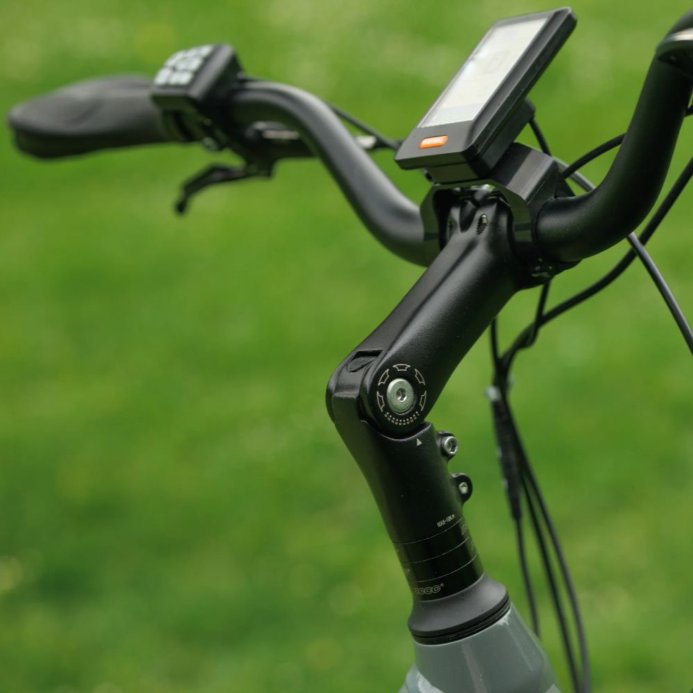 Roxform Stride L e-bike Close-up of handlebars with a screen and controls against a green blurred background