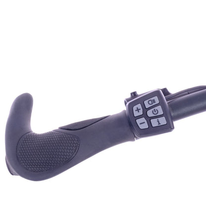 Roxform_Stride_L_e-bike handlebar controls on a white background