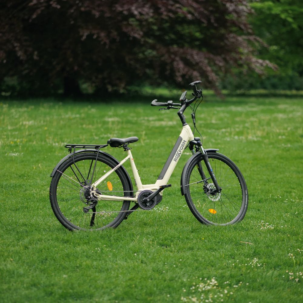 Roxform Stride L e-bike ivory on a grassy field with trees in the background