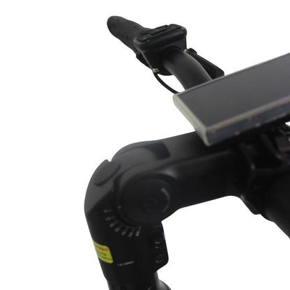 Roxform Stride S Plus e-bike display