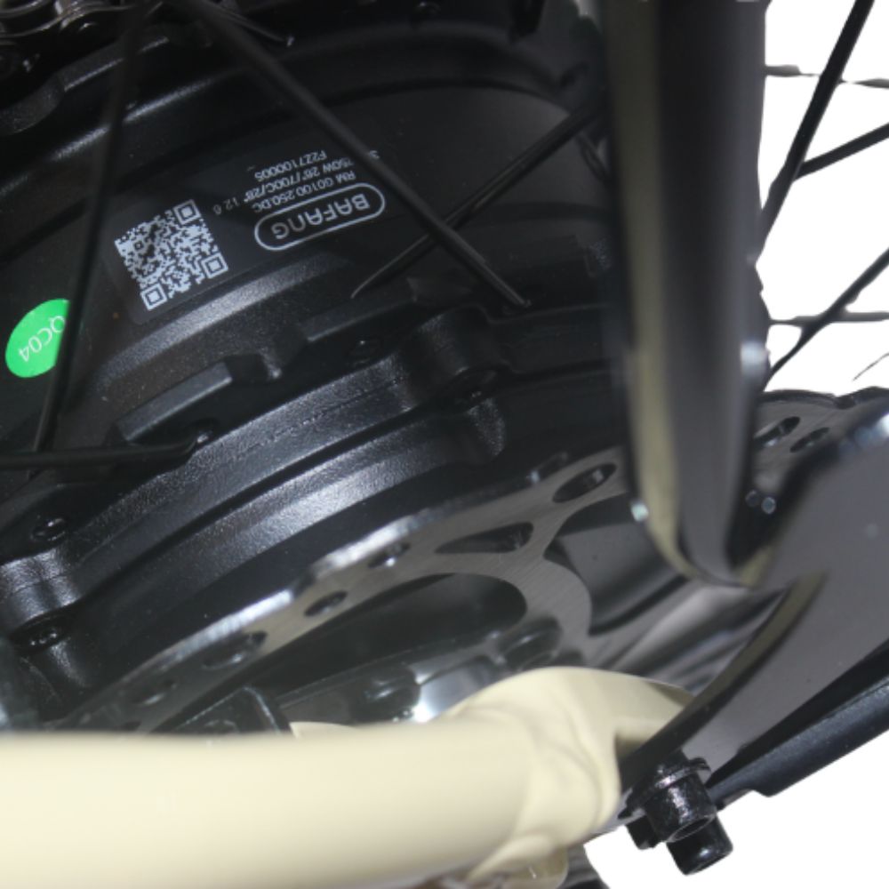 Roxform Stride S Plus e-bike motor