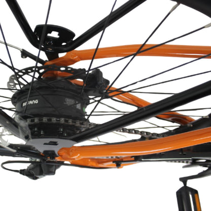Roxform Stride S Plus e-bike rear hub motor