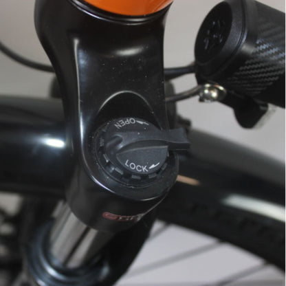 Roxform Stride S Plus e-bike suspension lock