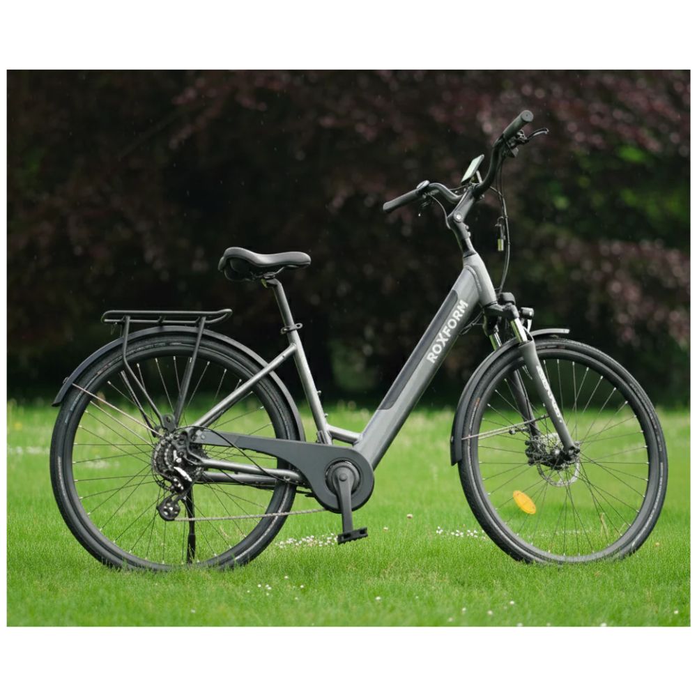 Roxform Stride S e-bike Gray on grass with blurred background