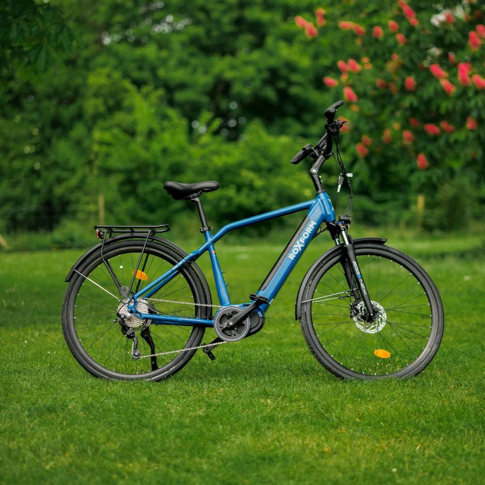 Roxform Valor L e-bike blue on a grassy area with greenery and flowers in the background