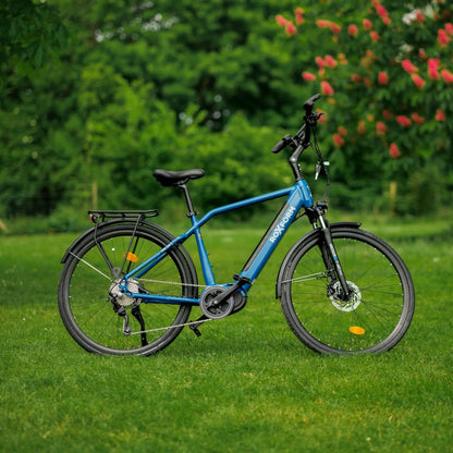 Roxform Valor L e-bike blue on a grassy area with greenery and flowers in the background
