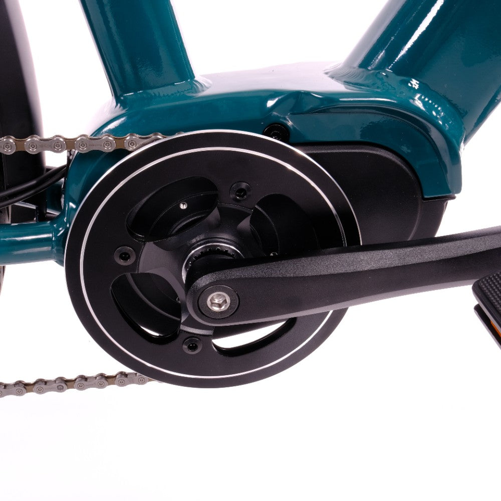 Roxform Valor L e-bike chain set Close-up on a white background
