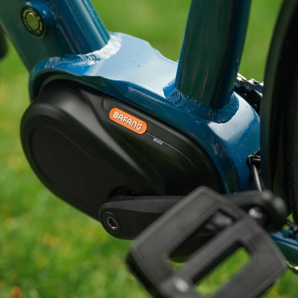 Roxform Valor L e-bike mid_drive_motor Close-up on a grassy background