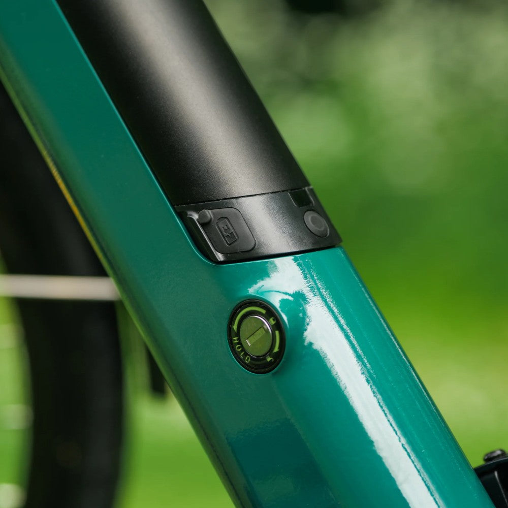 Roxform Valor S e-bike battery lock Close-up on a blurred green background