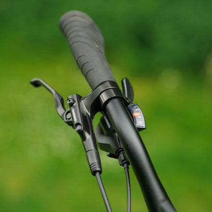Roxform Valor S e-bike Close-up of handlebar with control levers against a blurred green background