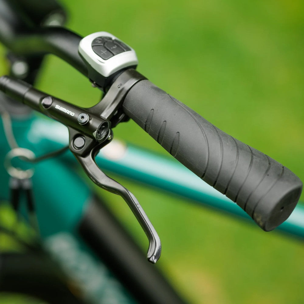 Roxform Valor S e-bike controller Close-up on handlebar against a blurred green background