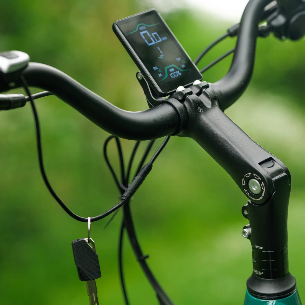 Roxform Valor S e-bike display against a blurred green background